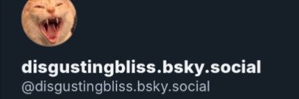 BlissDisgusting's profile banner image