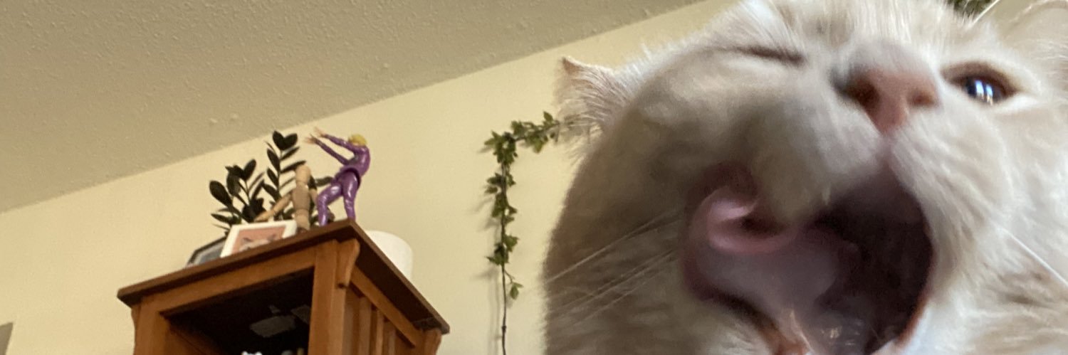 kpsapphic's profile banner image
