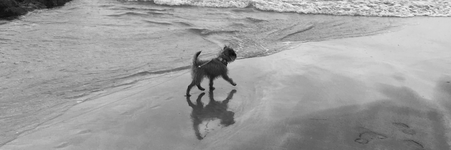 BettyTheBT's profile banner image
