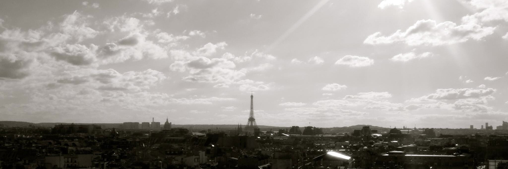 judyschung's profile banner image