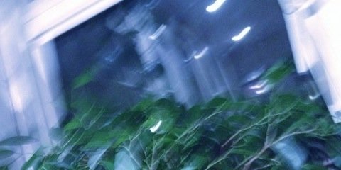 herbertgdr's profile banner image