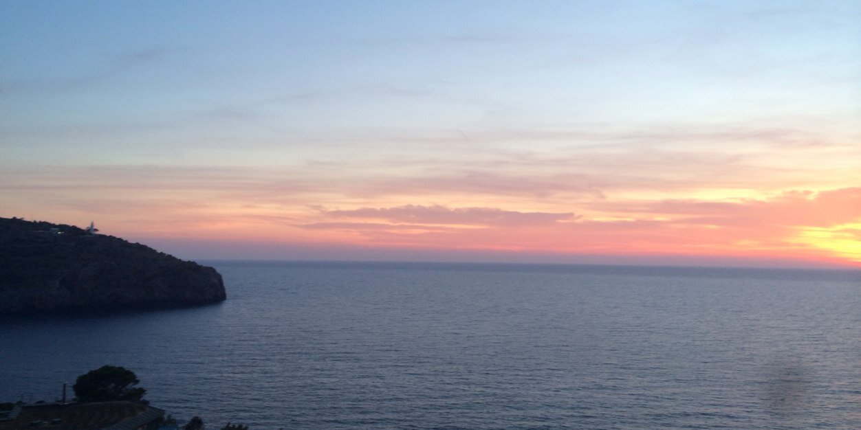 Martha Followill banner