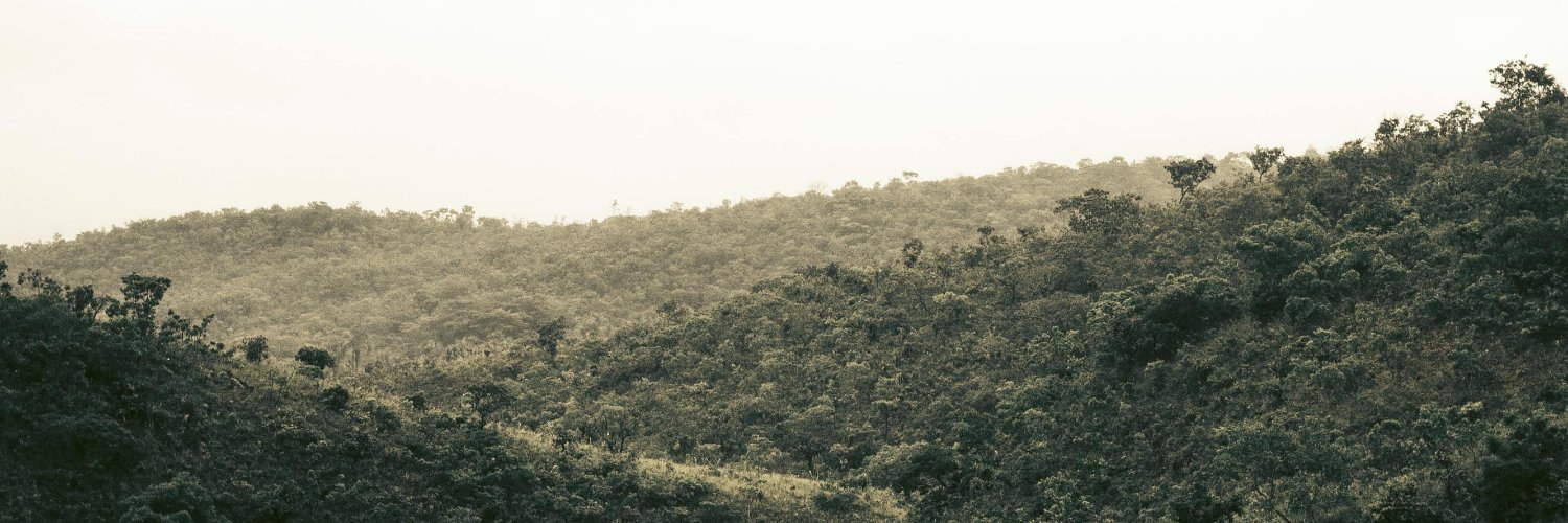 renspandy's profile banner image