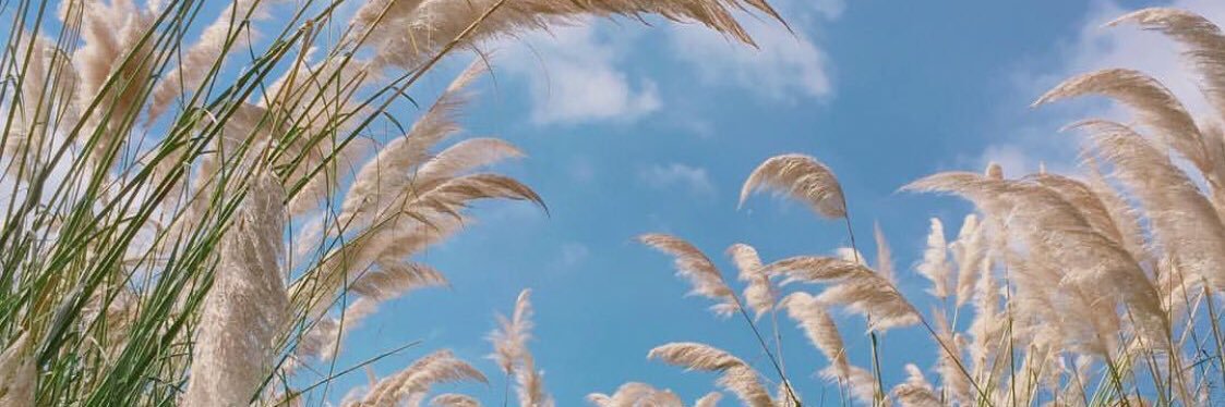ggggraphzz's profile banner image
