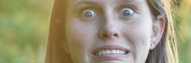 Allison Young banner