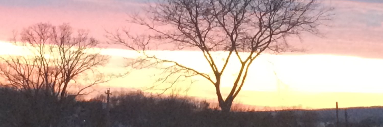 MrsKittoe's profile banner image
