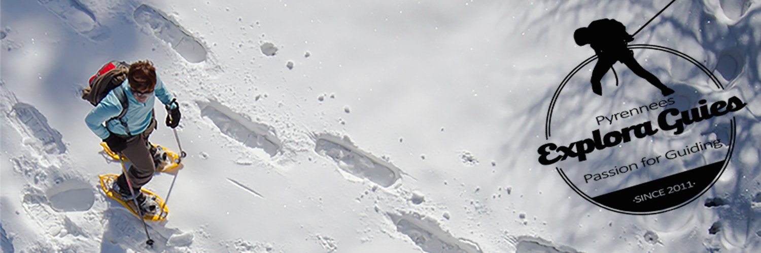 exploraguies's profile banner image
