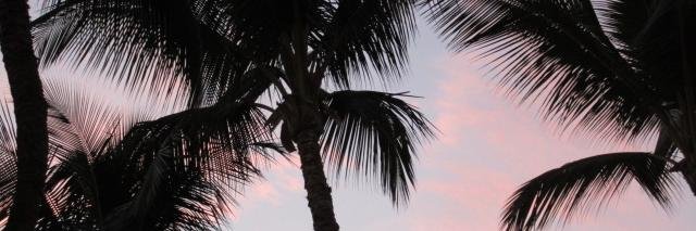 pinksemicolons's profile banner image