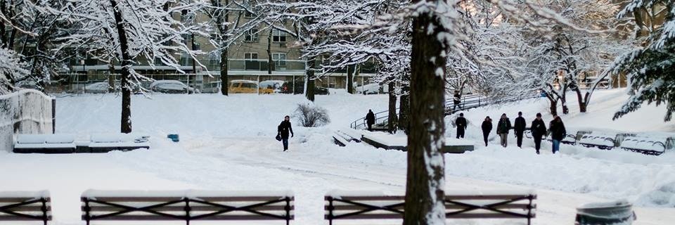 BronxScienceHS's profile banner image
