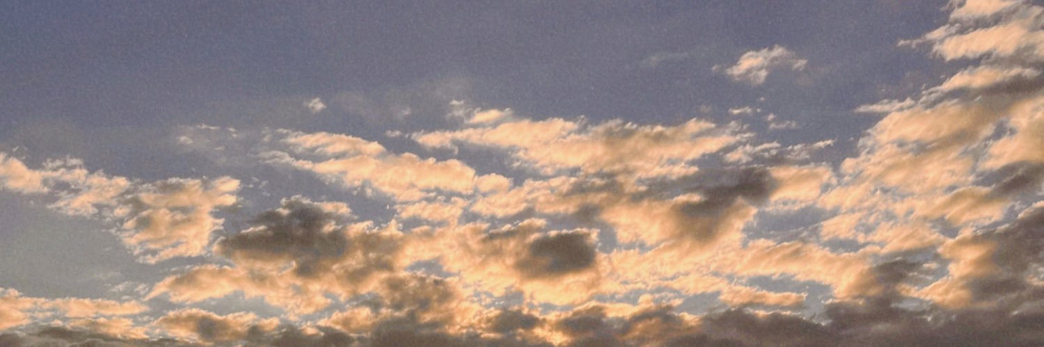 nalfk_'s profile banner image