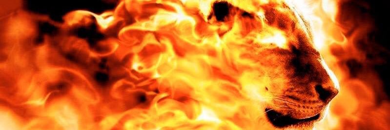 anapaularock7's profile banner image