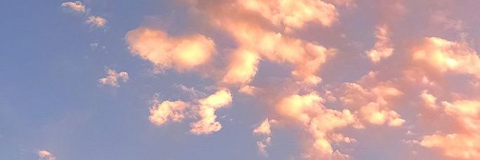 ほたる banner