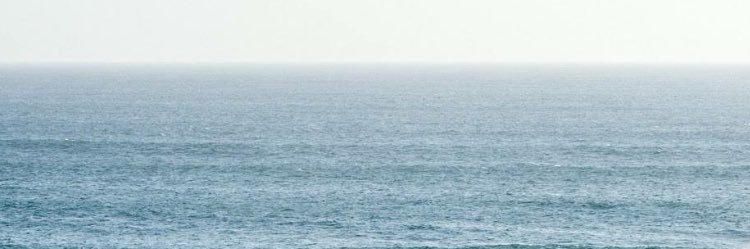 juliedeutsch_'s profile banner image