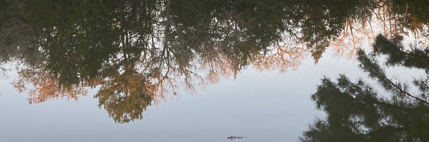 owlsand's profile banner image