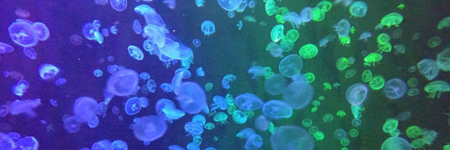 setuna517's profile banner image