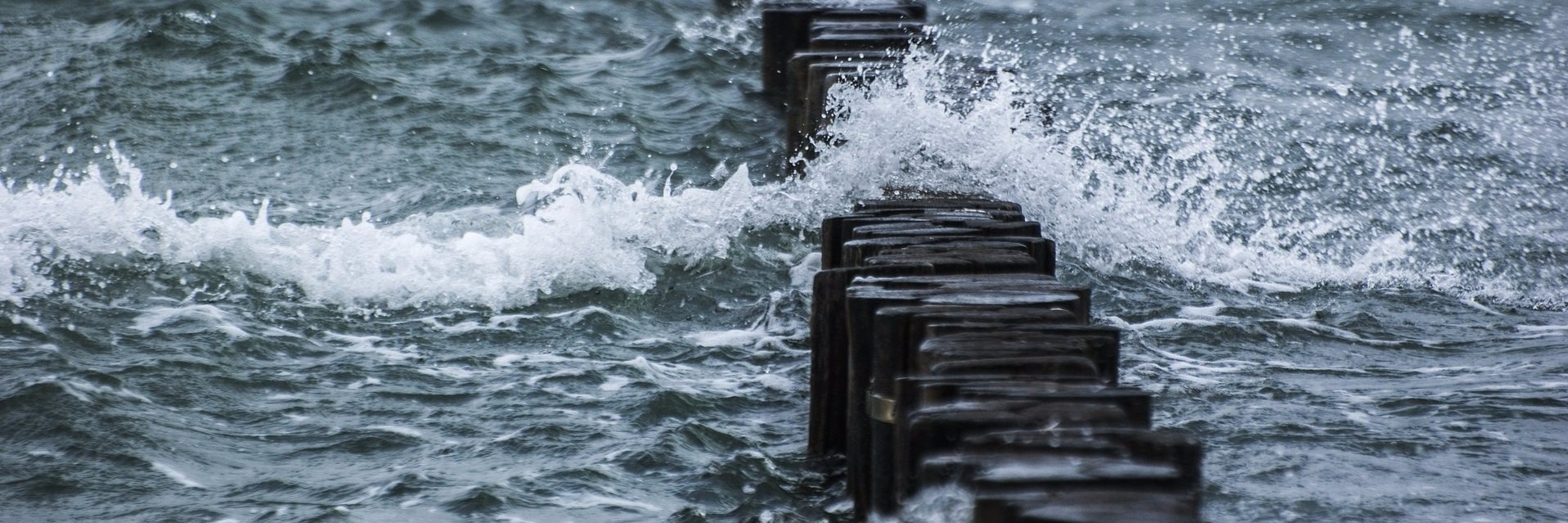 Jose A. Martos banner