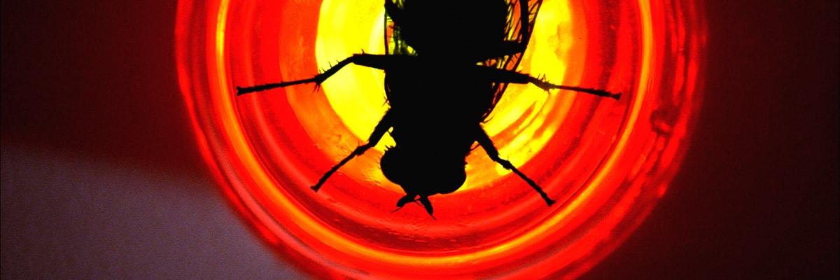 RuliFdezzz's profile banner image