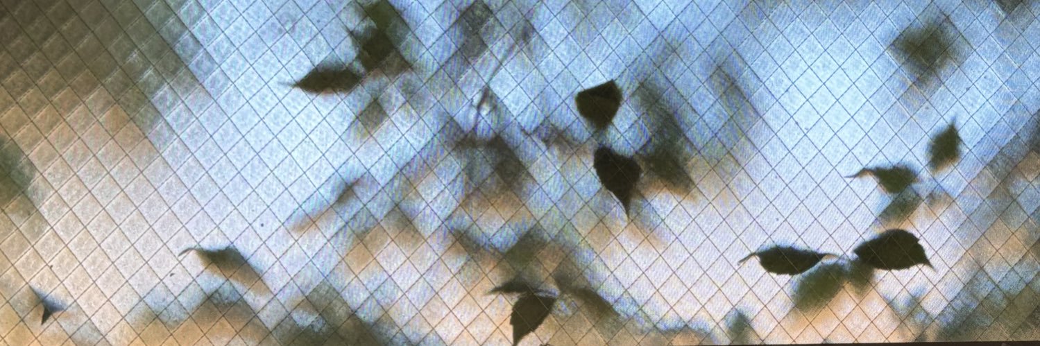 Dan banner
