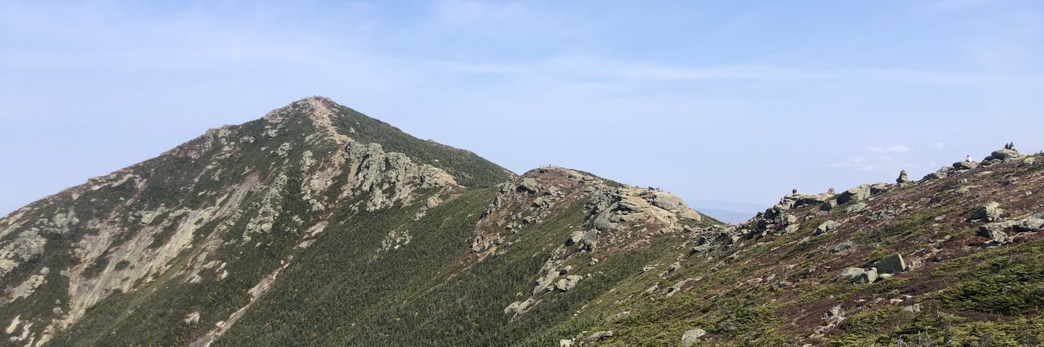 bernardine_l's profile banner image