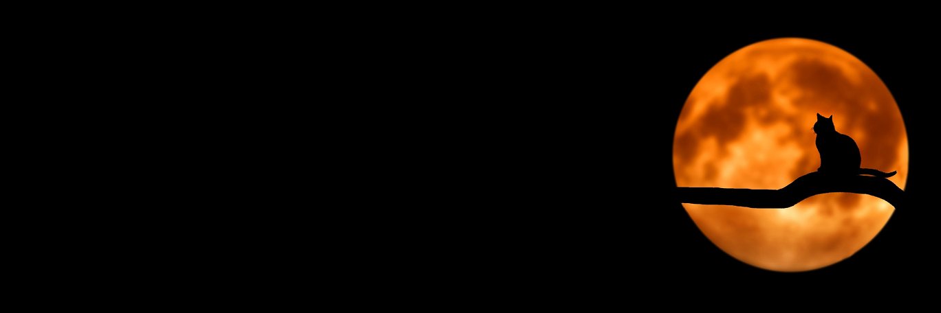 TheSquibbler's profile banner image