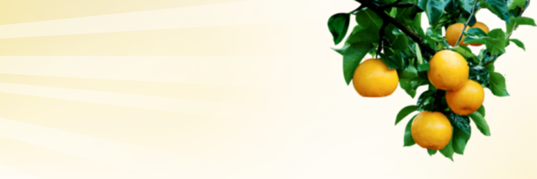 twimru's profile banner image
