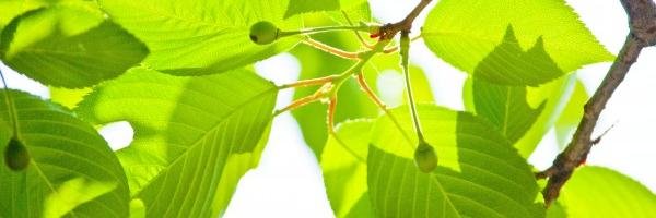 GEF_environment's profile banner image