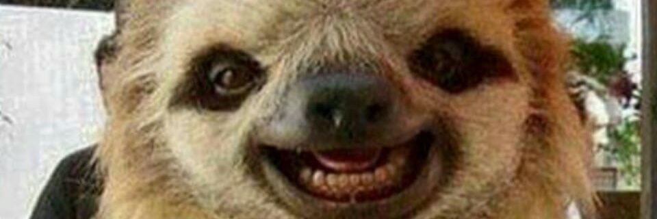 mr_sharp015's profile banner image