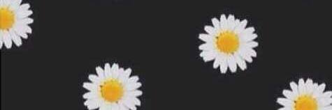 nempii's profile banner image