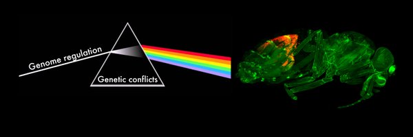 PRAndersen Profile Banner