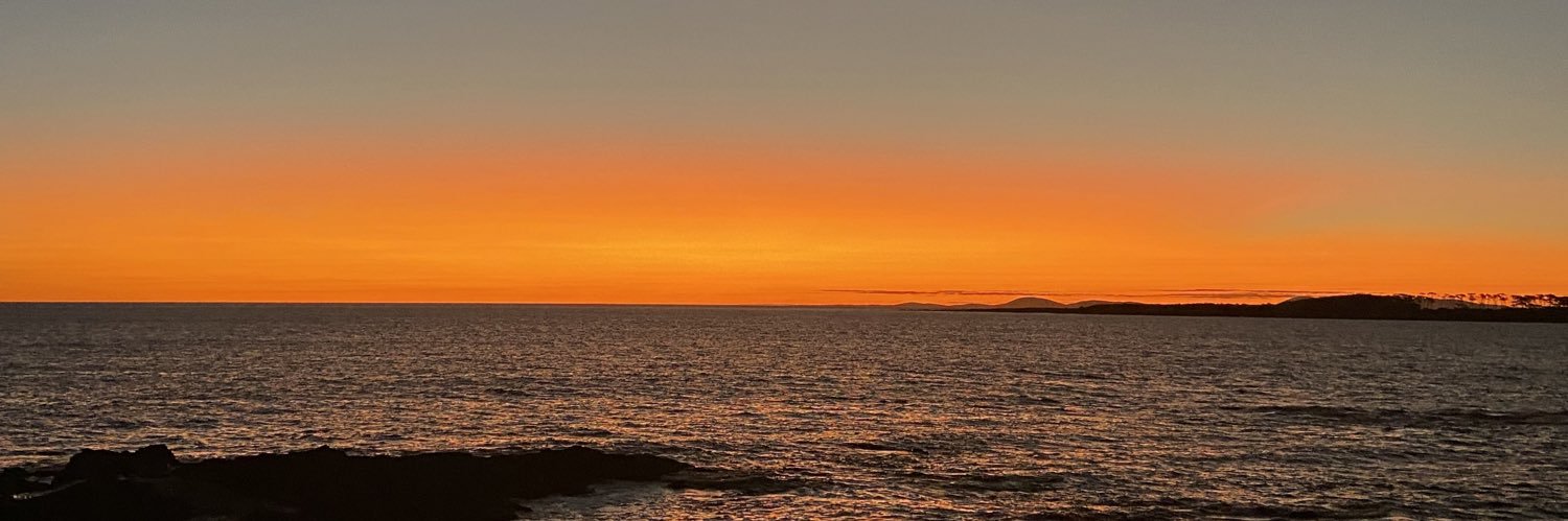 milli_gonzalez_'s profile banner image