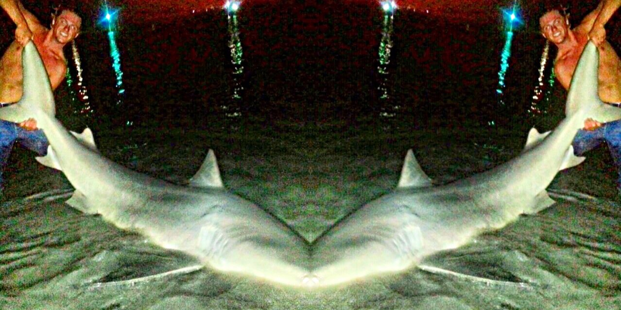 dylangigs's profile banner image