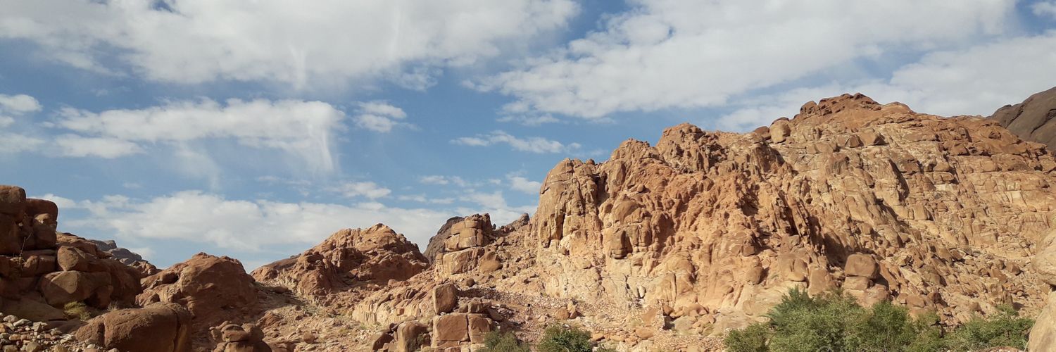 ReemHN's profile banner image