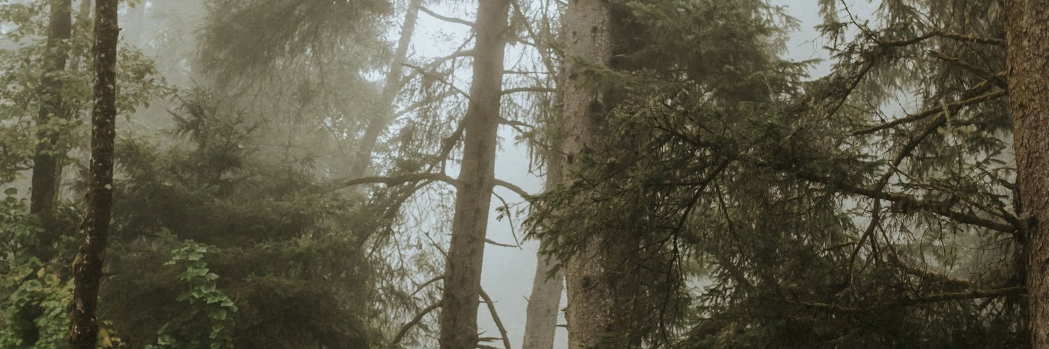 brittany___west's profile banner image