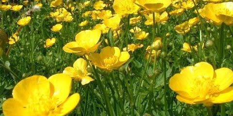 Natalie Offord banner