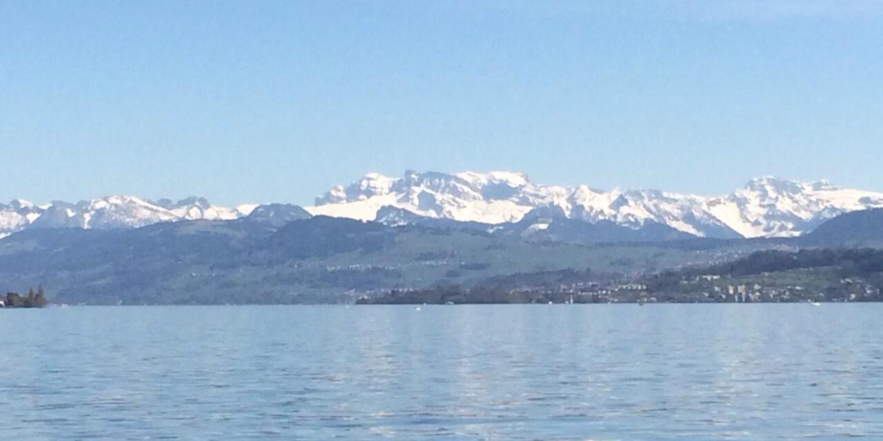 Tamara Schmid 🏡 banner