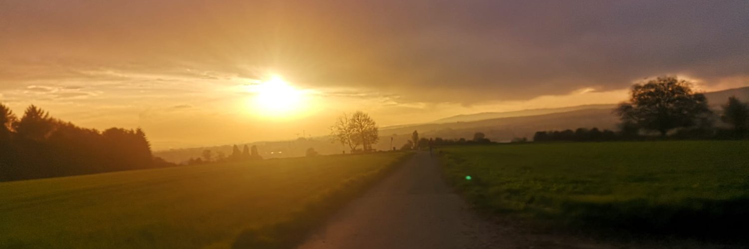 holgerzinn's profile banner image