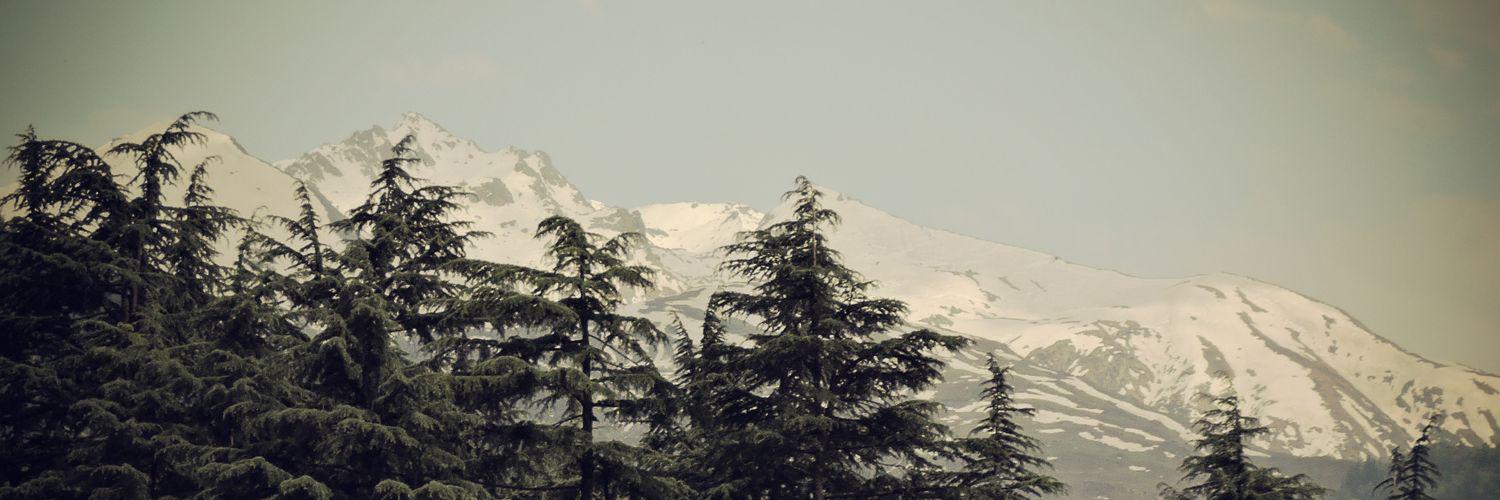 DSingh099's profile banner image