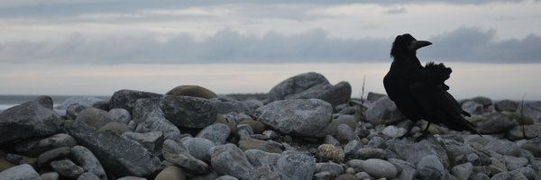 SWbioinf Profile Banner