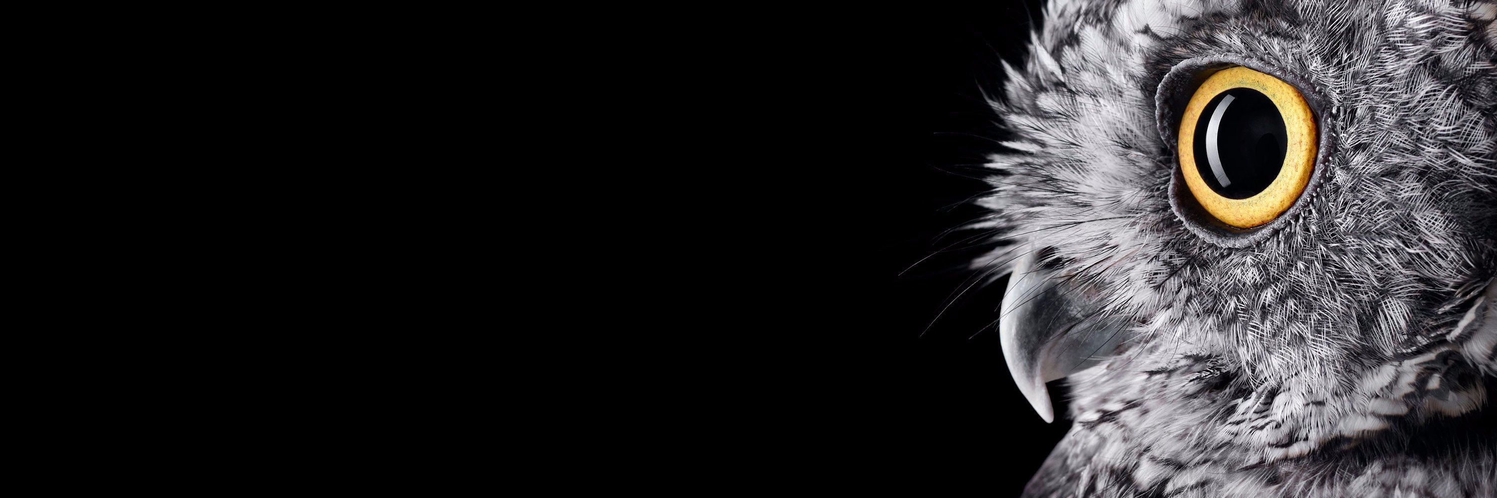 idtimw's profile banner image
