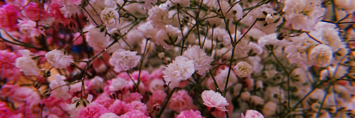 jvlieet's profile banner image