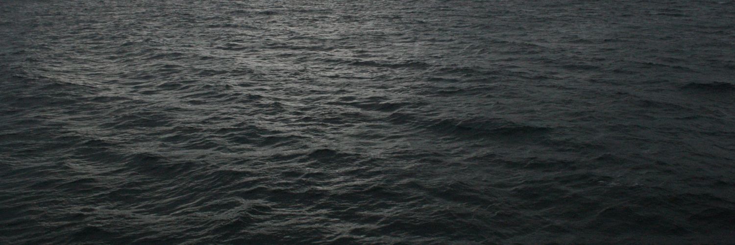 armanfazlic's profile banner image