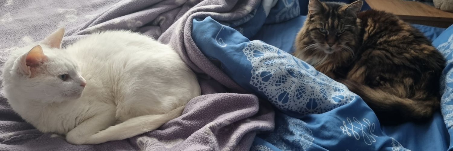 Sherelyn Burtenshaw banner