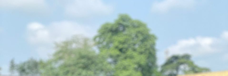 IamEmere's profile banner image