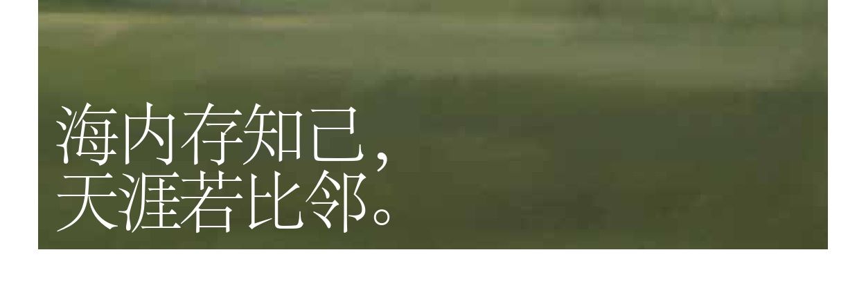 dnj banner