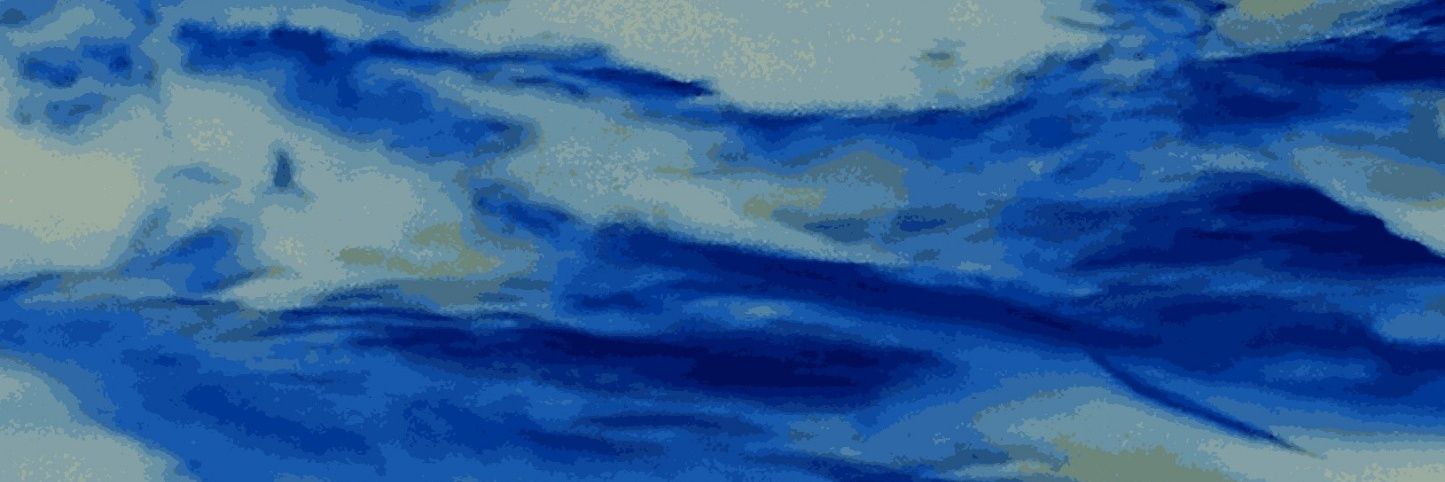 Stefani Scherer banner