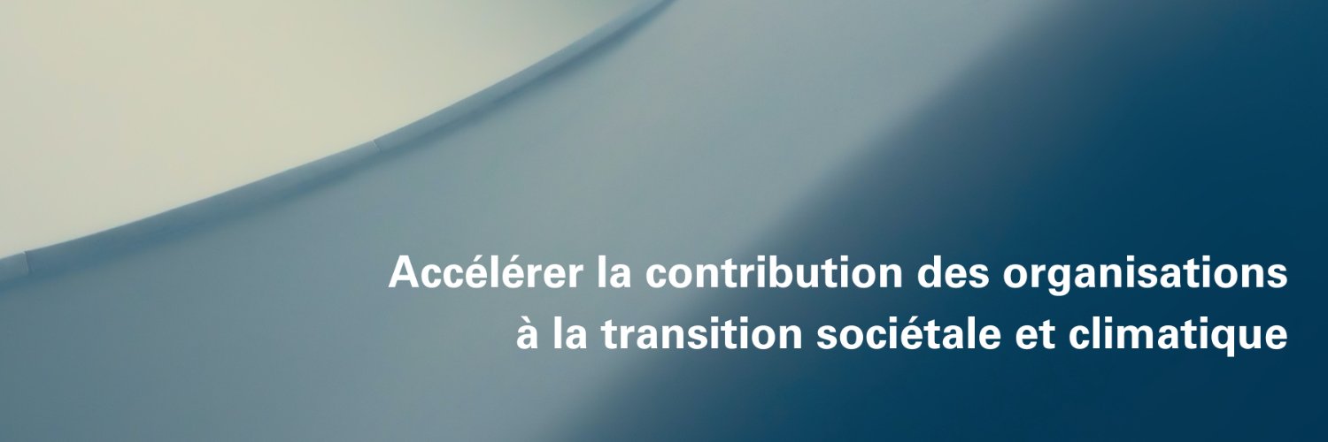 Transition & Co banner