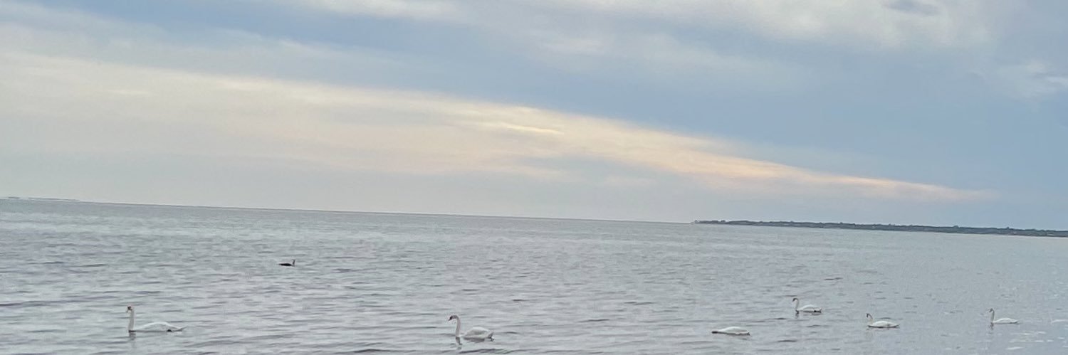 iospina62's profile banner image