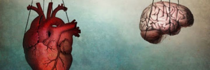 Chuck_mafia's profile banner image
