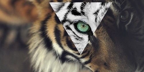 tonibl97's profile banner image