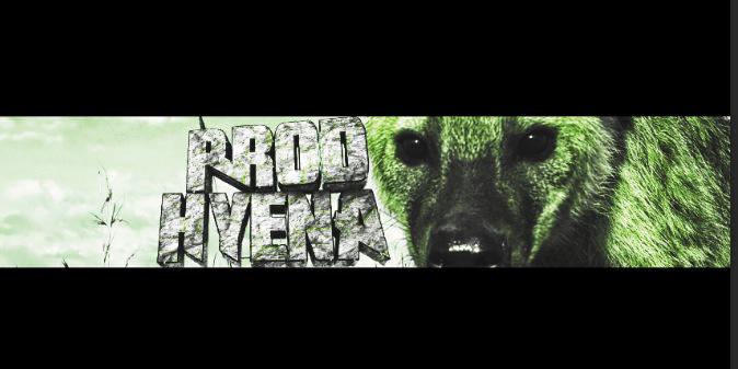EPGHyena's profile banner image